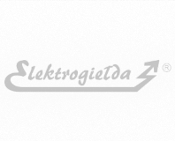 elektrogielda